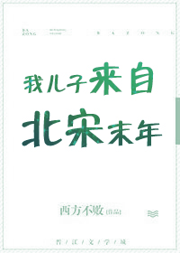 我儿子来自北宋末年