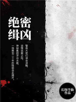绝密缉凶