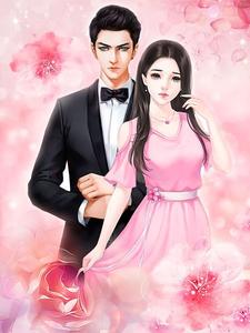 盛总，你老婆又闹离婚了