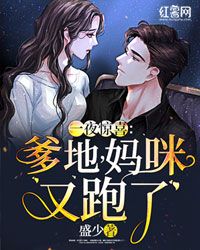一夜惊喜:爹地，妈咪又跑了