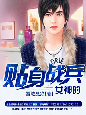 女神的贴身战兵叶锋
