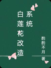 白莲花改造系统