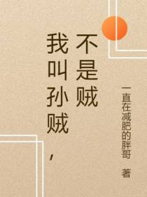 我叫孙贼,不是贼