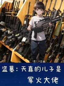 盗墓：天真的儿子是军火大佬