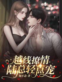 越线撩情,陆总轻点宠