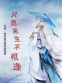 只愿来生不相逢