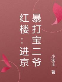 红楼：进京暴打宝二爷