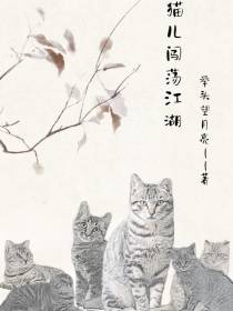 猫儿闯荡江湖