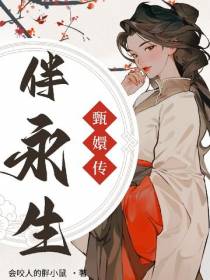 甄嬛传：伴永生