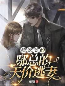 独宠契约：鄢总的天价逃妻