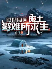 暴雪末日：废土避难所求生