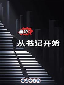 官场：从书记开始