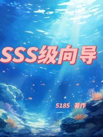 SSS级向导