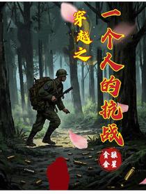 穿越之一个人的抗战