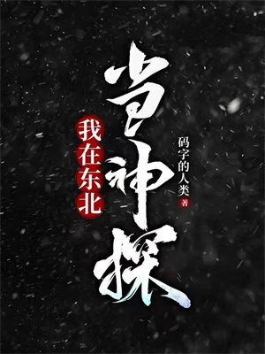 我在东北当神探