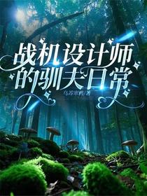战机设计师的驯夫日常