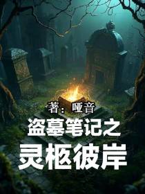 盗墓笔记之灵柩彼岸